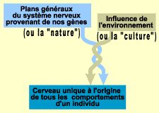 PNL-plan